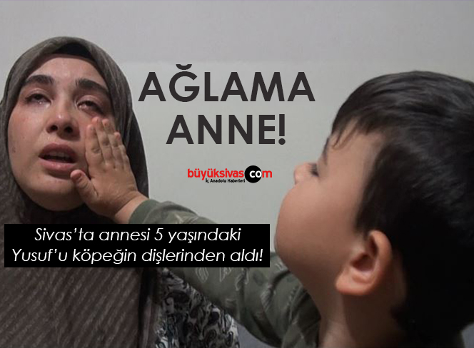 Sivas’ta 5 yaşındaki Yusuf’u köpek ısırdı! Annesi göz yaşlarını tutamadı!