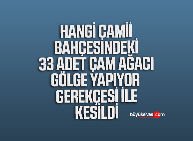 Sivas’ta Camii Bahçesindeki 33 Adet Çam Ağacı Kesildi