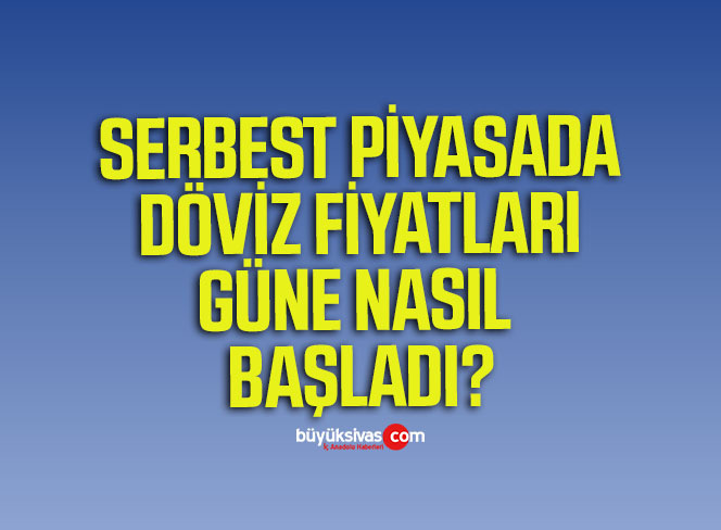 Serbest Piyasada Döviz Fiyatları