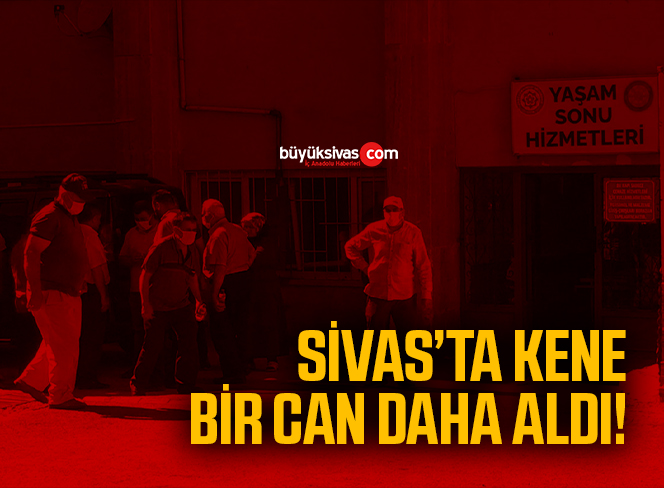 Sivas’ta kene bir can daha aldı