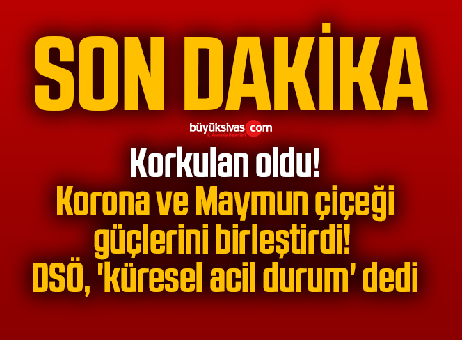 SON DAKİKA