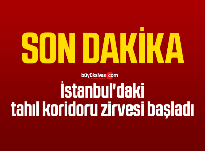 İstanbul’daki tahıl koridoru zirvesi başladı