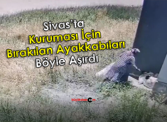 Sivas’ta kağıt toplayıcılar milletin neyi var neyi yok topluyor “Ayakkabı gitti!”