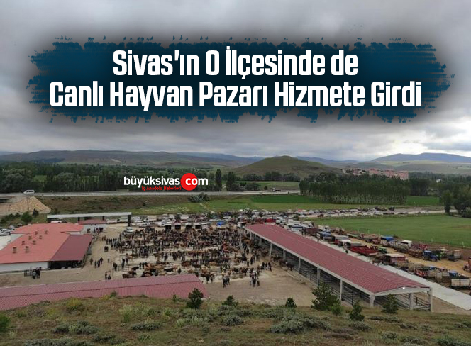 canlı hayvan pazarı