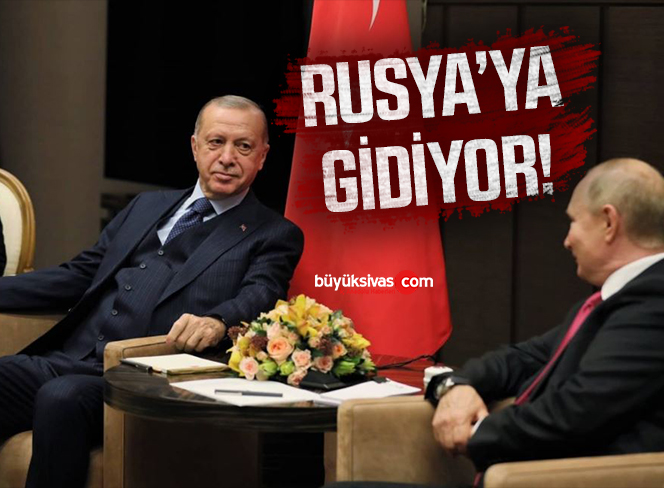 cumhurbaşkanı erdoğan