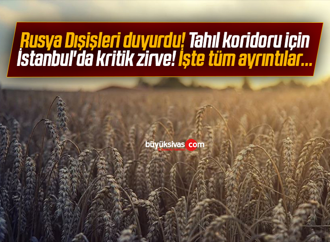 Rusya Dışişleri duyurdu! Tahıl koridoru için İstanbul’da kritik zirve gerçekleşecek