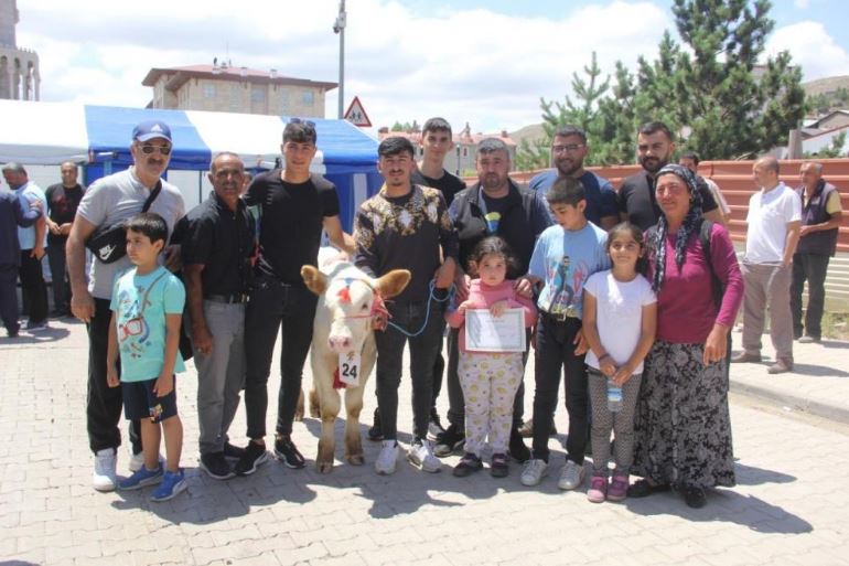 Sivas’ta buzağılar podyuma çıktı