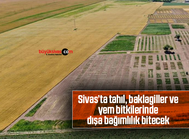 sivas tarım