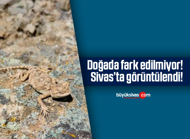 sivas'ta görüntülendi