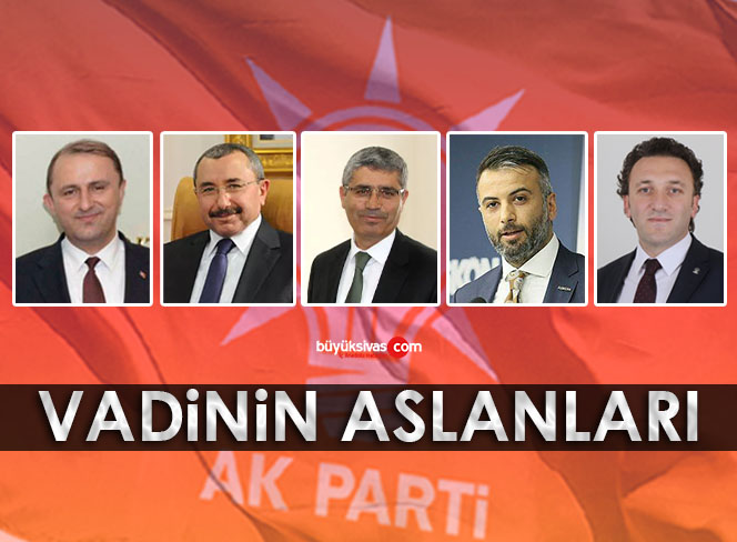 vadinin233