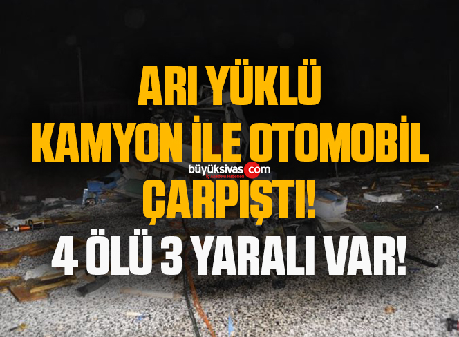 ARI YÜKLÜ KAMYON