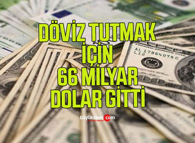 DÖVİZ