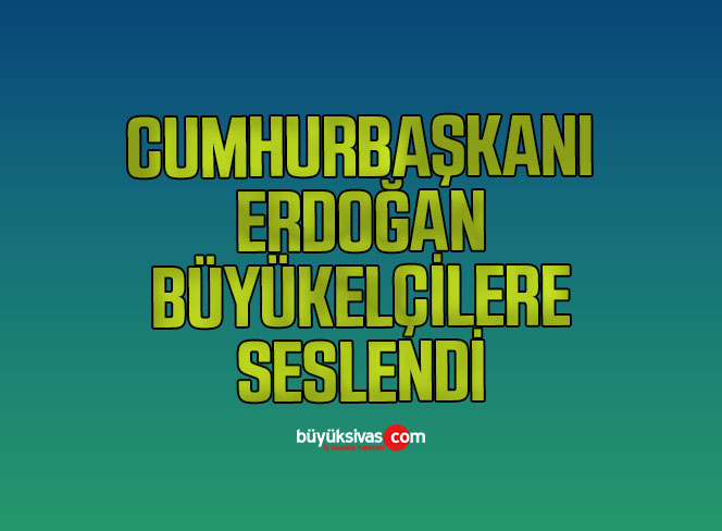 Cumhurbaşkanı Erdoğan, büyükelçilere seslendi
