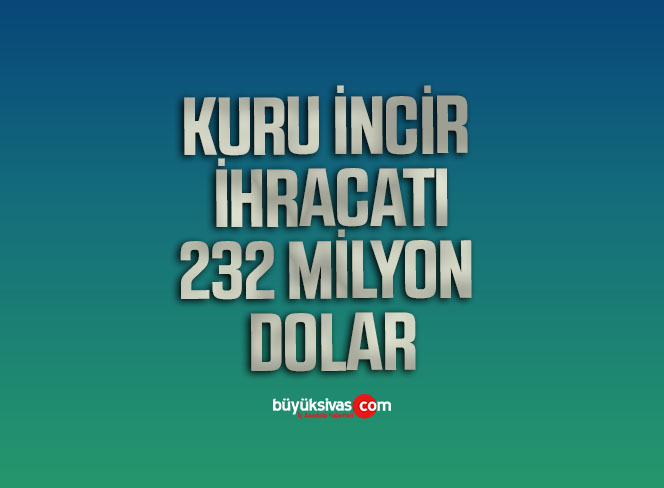 İNCİR