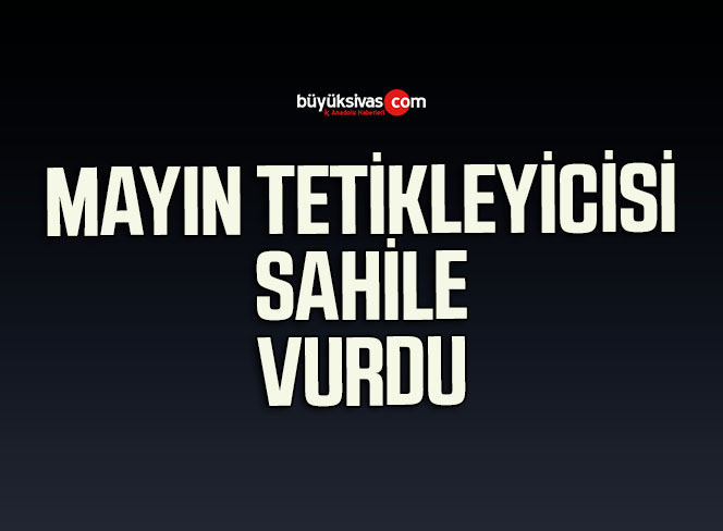 Rus yapımı mayın tetikleyicisi sahile vurdu