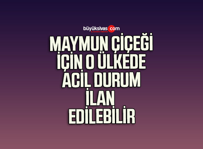 O Ülkede Maymun Çiçeği Hastalığı İçin Acil Durum İlan Edilebilir