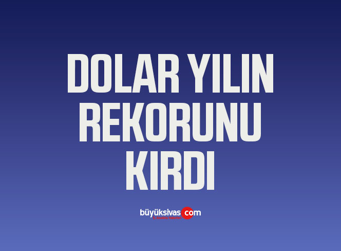Dolar/TL kuru 18 lirayı aşarak yılın zirvesini gördü