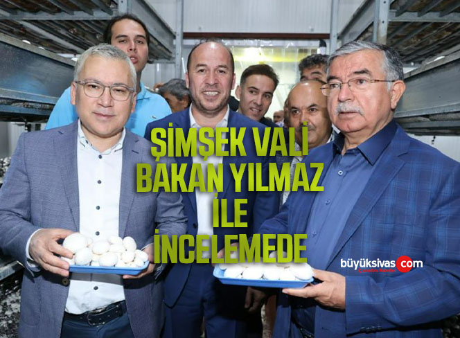 ŞİMŞEK VALİ