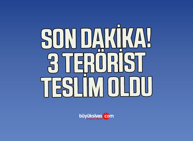 PKK’lı 3 terörist güvenlik güçlerine teslim oldu