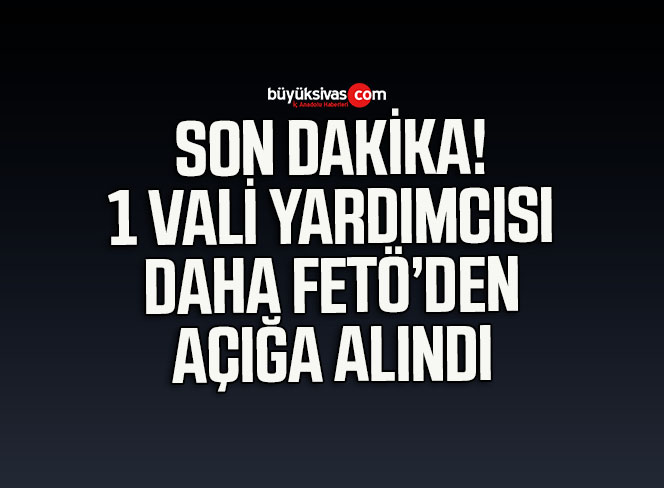 Bir Vali Yardımcısı Daha FETÖ Soruşturması Kapsamında Açığa Alındı