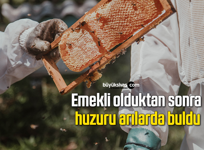 arı