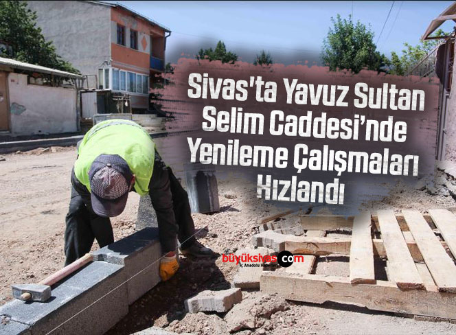 çalışmalar