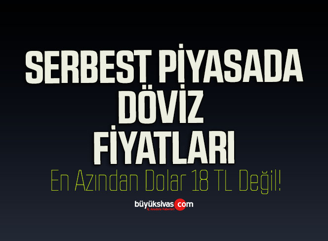 Serbest piyasada döviz fiyatları