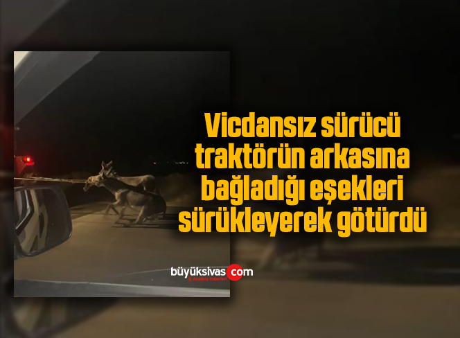 eşekleri