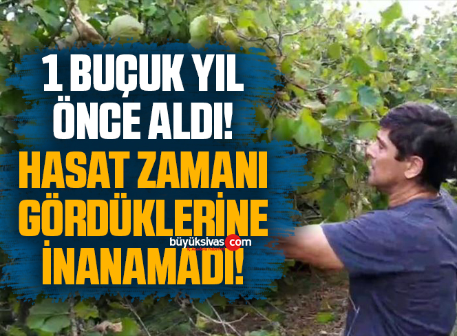 1 buçuk yıl önce aldı, hasat zamanı geldiğinde gördüklerine inanamadı