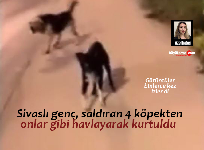 Sivaslı genç, saldıran 4 köpekten onlar gibi havlayarak kurtuldu