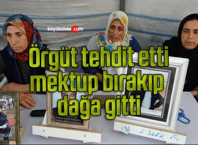 örgüt