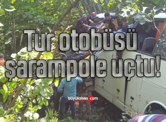 Tur otobüsü şarampole uçtu!