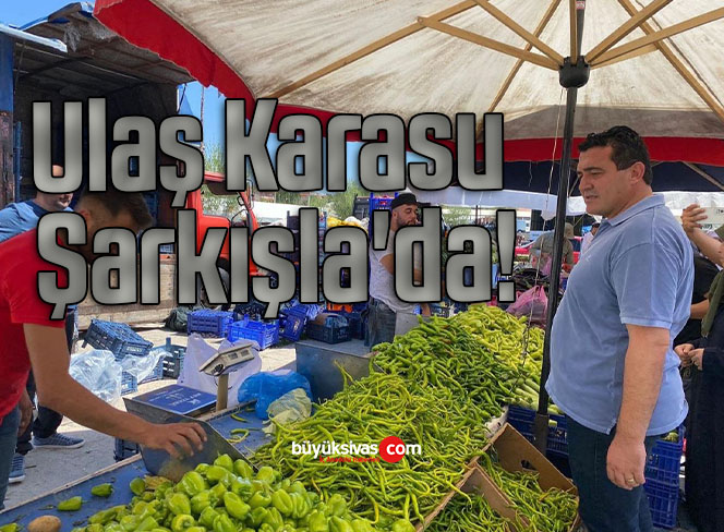 şarkışla