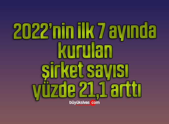 2022’nin ilk 7 ayında kurulan şirket sayısı yüzde 21,1 arttı