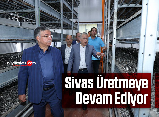 sivas üretmeye