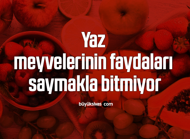 yaz meyveleri2