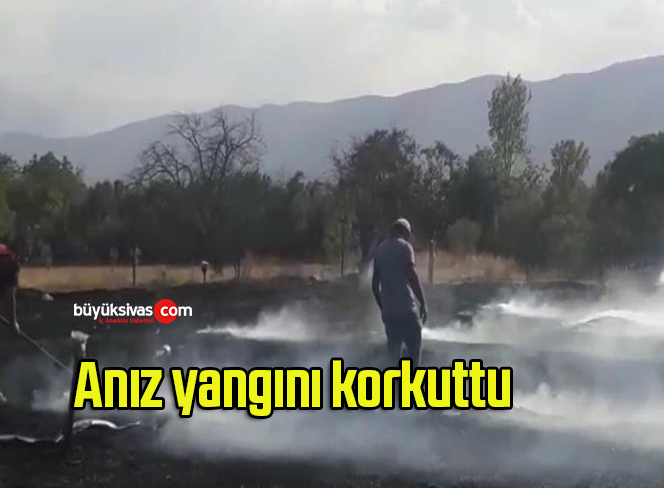 Anız yangını korkuttu