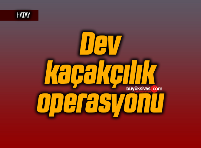 Dev kaçakçılık operasyonu