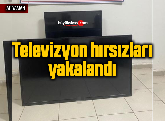 TELEVİZYON