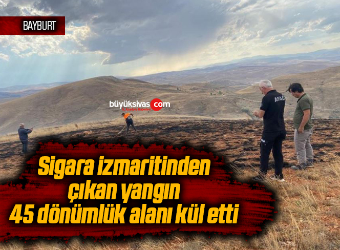 Sigara izmaritinden çıkan yangın 45 dönümlük alanı kül etti
