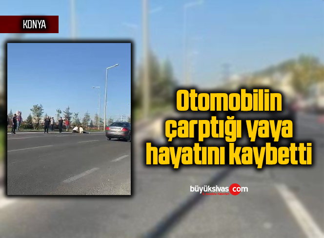 Otomobilin çarptığı yaya hayatını kaybetti