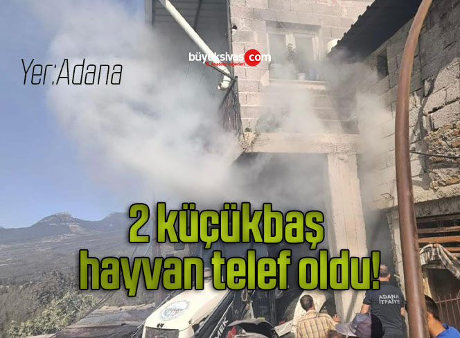 adana