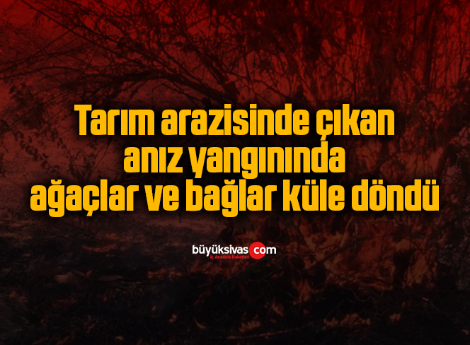 Tarım arazisinde çıkan anız yangınında ağaçlar ve bağlar küle döndü