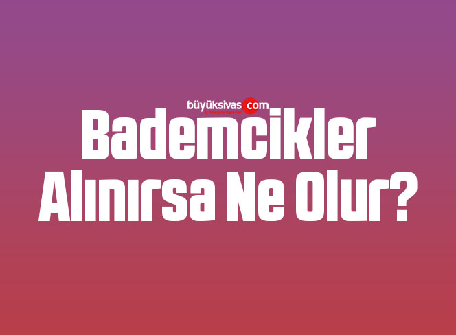 bademcikler