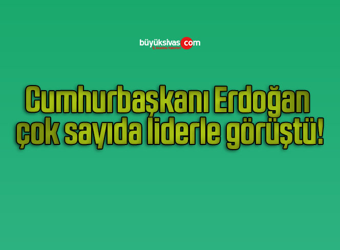 erdoğan
