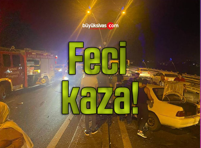 Feci kaza!