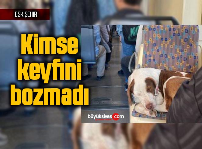 Kimse keyfini bozmadı