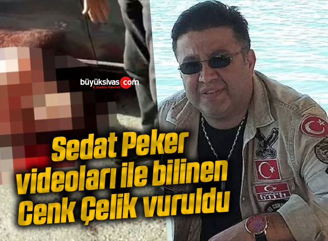 Sedat Peker videoları ile bilinen Cenk Çelik vuruldu