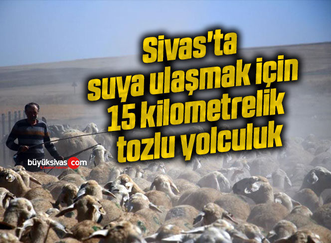 Sivas’ta suya ulaşmak için 15 kilometrelik tozlu yolculuk