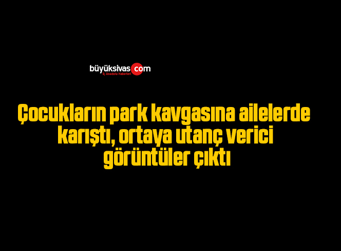 Çocukların park kavgasına ailelerde karıştı, ortaya utanç verici görüntüler çıktı